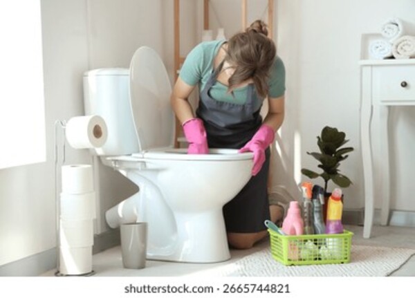 玻璃幕墙清洁与高空保洁服务